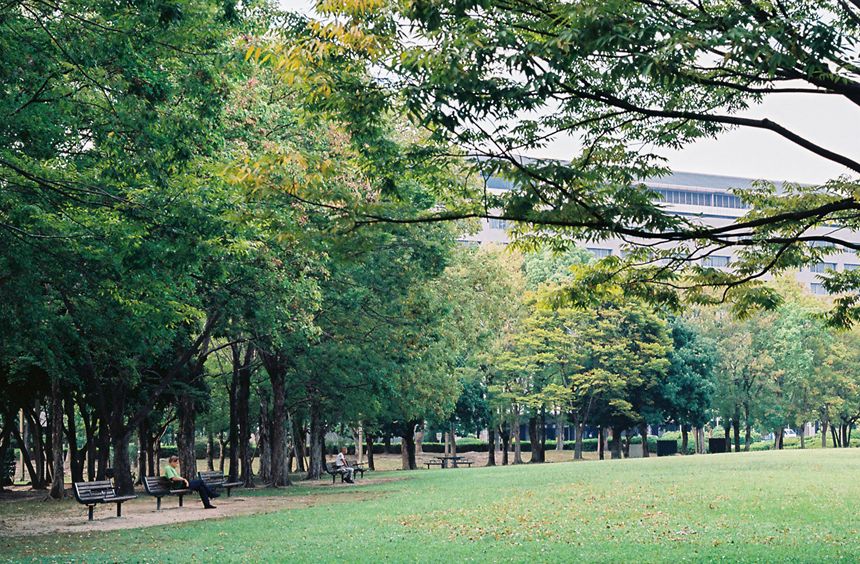 Nhat Ban dep mo mang thoi khac chuyen mua sang thu 10